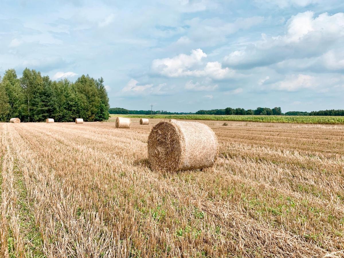 Agroturystyka Sielanka プジャスニシュ エクステリア 写真