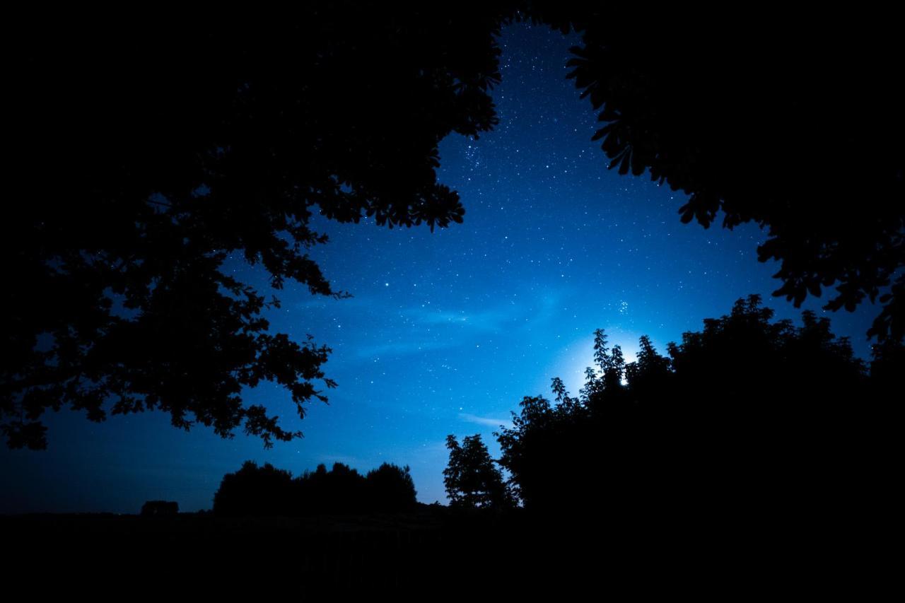 Agroturystyka Sielanka プジャスニシュ エクステリア 写真